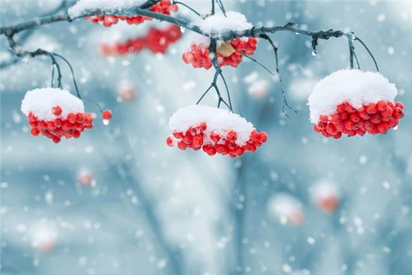 梦见下雪是什么意思？_自然篇_卜易居手机版