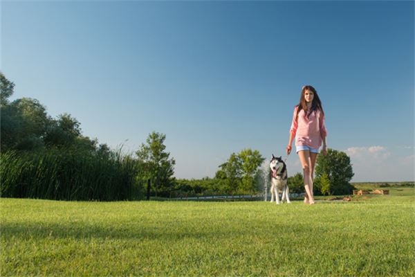 女人梦见不联系的朋友_人物篇_卜易居手机版