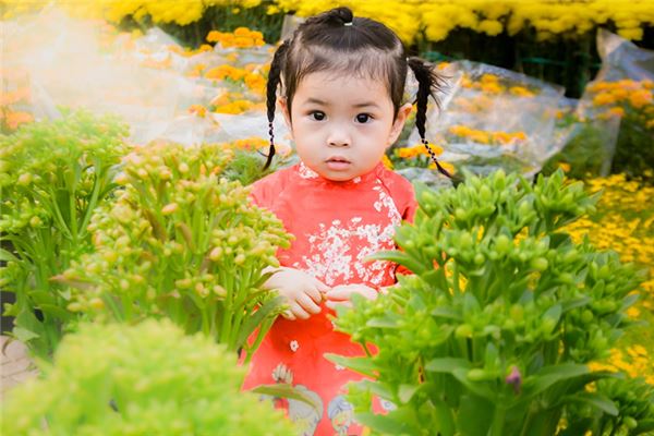 做梦梦见生了个女儿有什么寓意?_人物篇_卜易居手机版