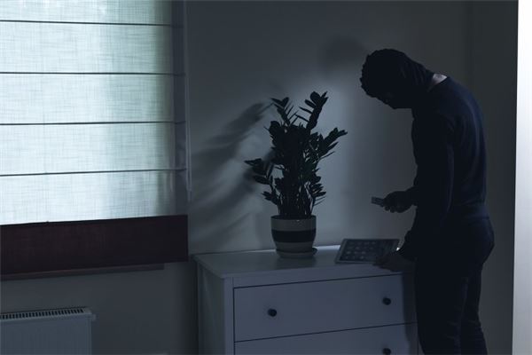 梦见家里进小偷没损失_人物篇_卜易居手机版
