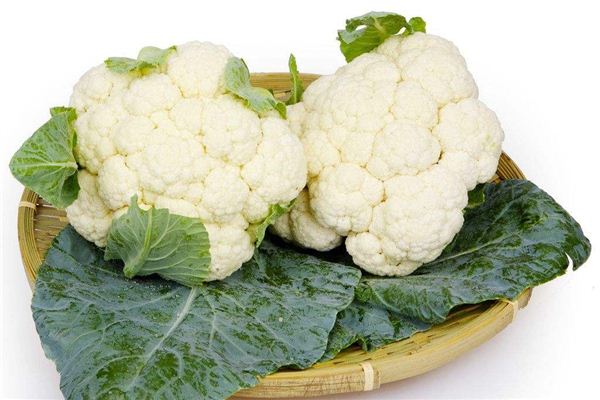 梦见花菜_做梦梦到花菜是什么意思_周公解梦大全查询手机版