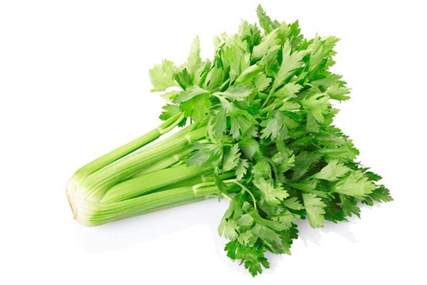 梦见芹菜_做梦梦到芹菜是什么意思_周公解梦大全查询手机版