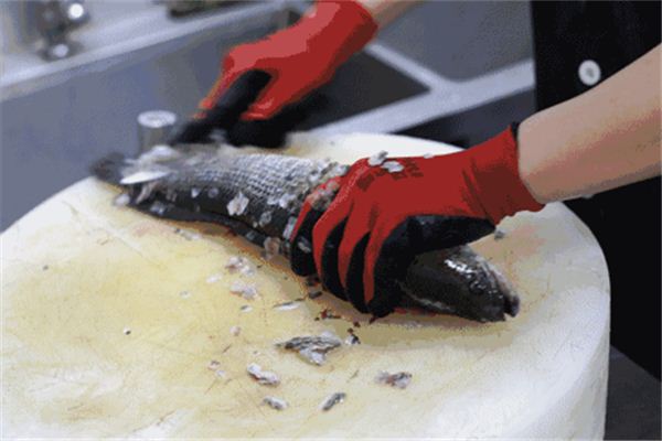 梦见杀鱼_做梦梦到杀鱼是什么意思_周公解梦大全查询手机版