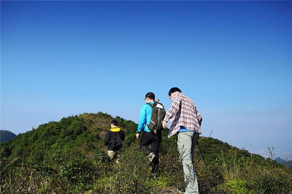 梦见走山路_做梦梦到走山路是什么意思_周公解梦大全查询手机版