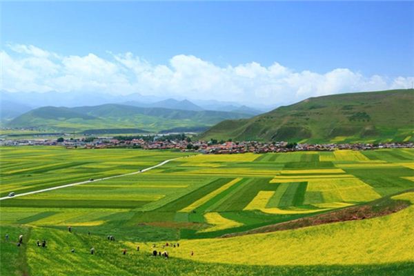梦见田园风光_做梦梦到田园风光是什么意思_周公解梦大全查询手机版