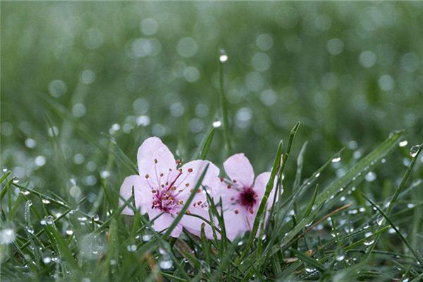 梦见雨停了_做梦梦到雨停了是什么意思_周公解梦大全查询手机版