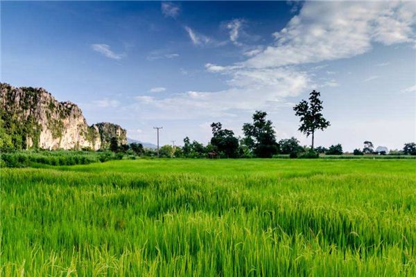 梦见草地_做梦梦到草地是什么意思_周公解梦大全查询手机版