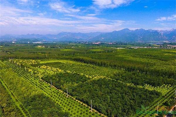 梦见地带_做梦梦到地带是什么意思_周公解梦大全查询手机版