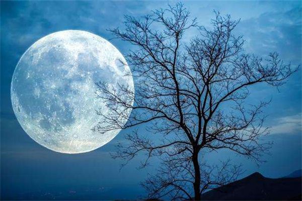梦见月夜_做梦梦到月夜是什么意思_周公解梦大全查询手机版