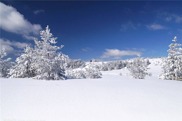 梦见积雪_做梦梦到积雪是什么意思_周公解梦大全查询手机版