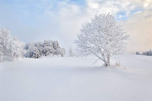 梦见雪地_做梦梦到雪地是什么意思_周公解梦大全查询手机版