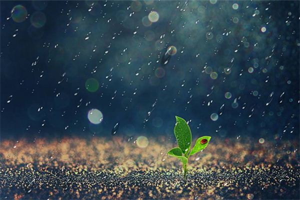 梦见雨_做梦梦到雨是什么意思_周公解梦大全查询手机版
